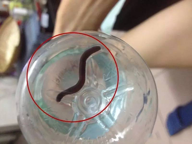 东莞爆出饮水问题 水龙头流出不明爬虫