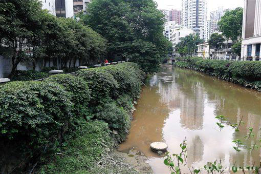 广州整治沙河涌已基本不黑不臭 8月底前切断污染源头