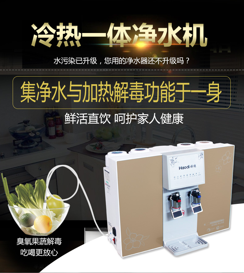 好迪冷热一体净水机带果蔬解毒 HD-03T 金色/红色款式